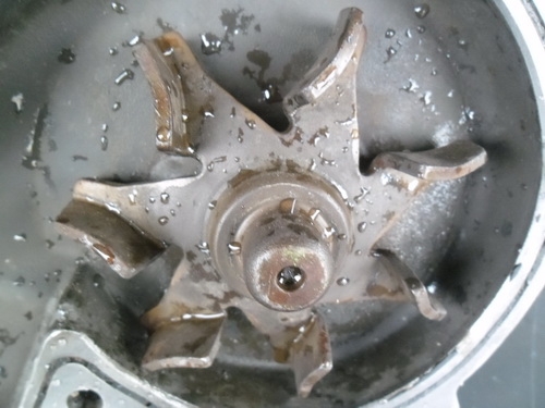 ขายแล้ว