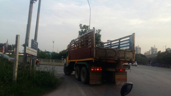 รถสิบล้อหัวยาว isuzu ดั้ม เครื่อง6BD1 165 แรง ฝาดำ เพาเวอร์ ช่วงล่างใหญ่ มิตซู เพลาเดียว เล่มเอกสารพร้อมโอน  เครื่องดีไม่มีไอ เกียร์ไม่หลุดไม่หอน คันซีสวย ภาษีเต็ม