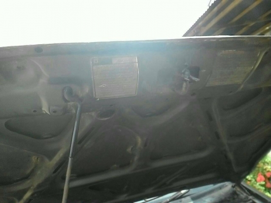 มังกรยอดประหยัด พวงมาลัยเพาเวอร์