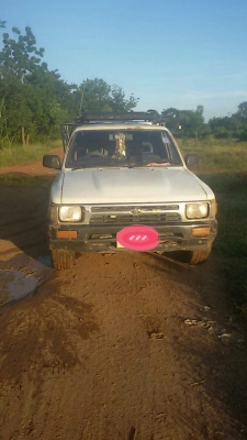 ไมตี้เอ็ก