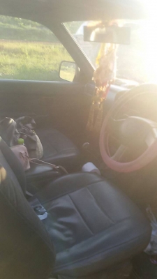 ไมตี้เอ็ก