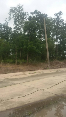 ที่ดินสวยๆ แถวโพรงอากาศ อ.บางน้ำเปรี้ยว จ.ฉะเชิงเทรา