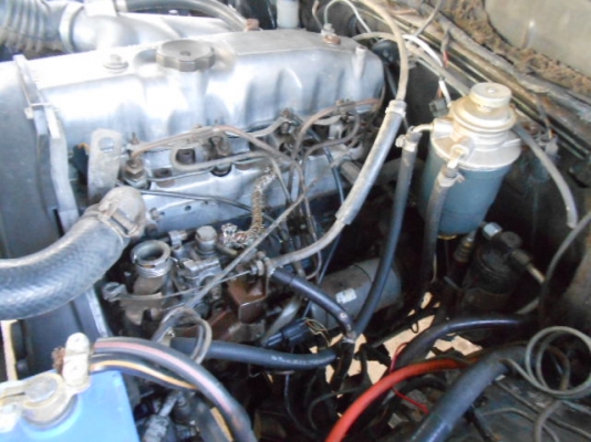 ขายไป จ.สุราษฎร์ธานี เดินทางกลับถึงที่หมายโดยสวัสดิ์ภาพ