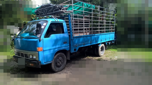 ขาย isuzu TLD เปลี่ยนหัว cheetah ขาย isuzu TLD เปลี่ยนหัว cheetah