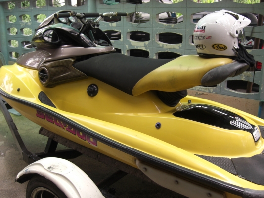 ขาย seadoo หมูอ้วนสวยๆๆ พร้อมทนเลอ