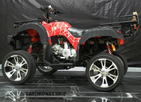 จัดโปรใหม่  BIG BEAR 125 cc ลดราคาพิเศษคุ้มสุดๆ ราคาเริ่มต้นที่...