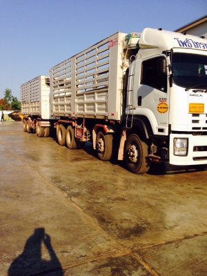 ขายดาวน์  รถพ่วงดั้มพ์แม่ลูก  isuzu  deca 360  ปี 56 สภาพดีมาก  พริอมใช้งาน