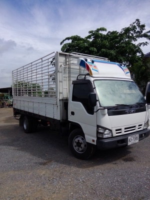 ขายหกล้อNQR175แรงคอลมอลแรลปี51ยางกระทะเรเดียลมิชลินใหม่90เปอร์เซ็น แอร์เย็น พาวเวอร์ เครื่องแน่นไม่มีไอ กระบะพร้อมคอกแข็งแรง ยาว5.40เมตร กว้าง2.30เตร รถสวยพร้อมใช้ทะเบียนพร้อมโอน