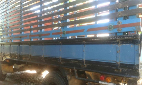 ขายรถ6ล้อ สั่งลุยแท้ปี38 เครื่อง115แรง แคชซี NPR59LU5F-M สภาพพร้อมใช้งาน เอกสารพร้อมโอน สนใจโทร 090-8588220คุณนะ 093-3258446คุณบิว หรือเข้าดูสินค้าอื่นๆได้ที่ www.truck.in.th/498 หรือเพจFacebook ณรงค์ ซื้อขายรถมือสอง (เว็บไซต์ส่วนตัว) หรือFacebook ตลาดรถม