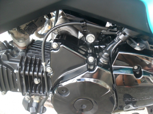 honda MSX 125 สีเขียว-ดำ ปี 2556