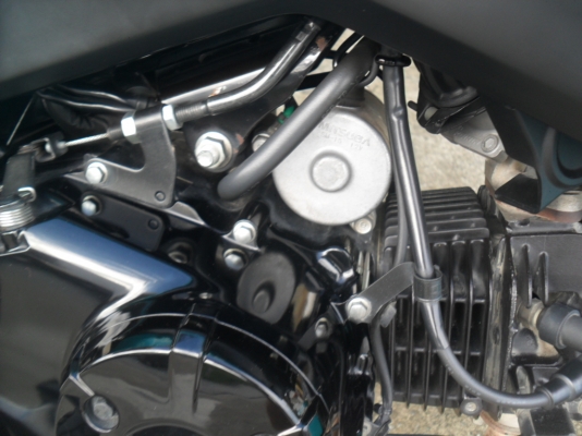 honda MSX 125 สีเขียว-ดำ ปี 2556