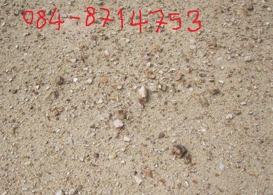 อยากขายด่วนที่ดินในหมู่บ้านโชคดีวิลเลจ 120 ตร.วา 1850000บาท ถ.ราชชุมพล ค2 หลังแหลมทองครับ