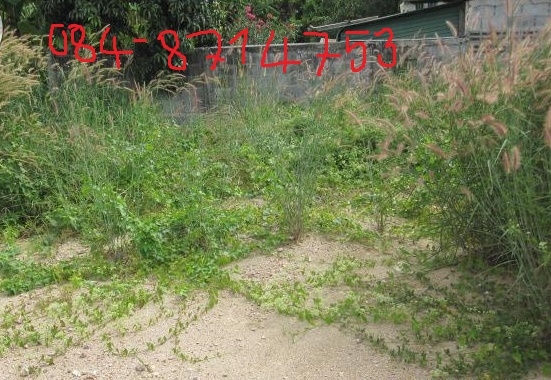 อยากขายด่วนที่ดินในหมู่บ้านโชคดีวิลเลจ 120 ตร.วา 1850000บาท ถ.ราชชุมพล ค2 หลังแหลมทองครับ