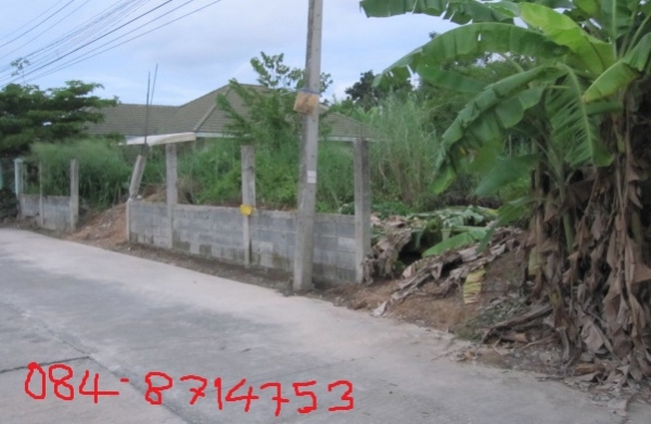 อยากขายด่วนที่ดินในหมู่บ้านโชคดีวิลเลจ 120 ตร.วา 1850000บาท ถ.ราชชุมพล ค2 หลังแหลมทองครับ
