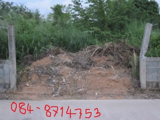 อยากขายด่วนที่ดินในหมู่บ้านโชคดีวิลเลจ 120 ตร.วา 1850000บาท ถ.ราชชุมพล ค2 หลังแหลมทองครับ