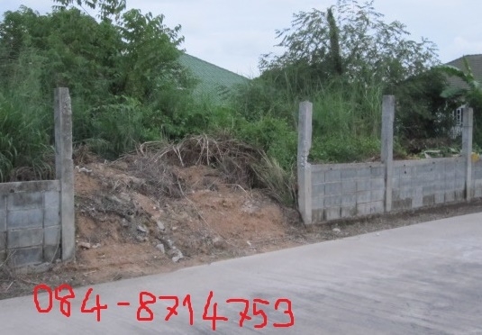 อยากขายด่วนที่ดินในหมู่บ้านโชคดีวิลเลจ 120 ตร.วา 1850000บาท ถ.ราชชุมพล ค2 หลังแหลมทองครับ