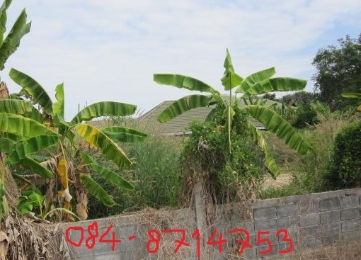 อยากขายด่วนที่ดินในหมู่บ้านโชคดีวิลเลจ 120 ตร.วา 1850000บาท ถ.ราชชุมพล ค2 หลังแหลมทองครับ