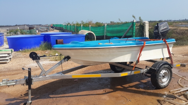 ขายเรือไฟเบอร์ 11 ฟุต พิมนิยม