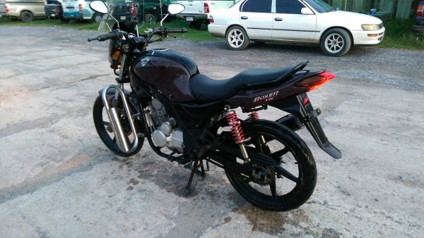 มอเตอร์ไซค์Tiger boxer