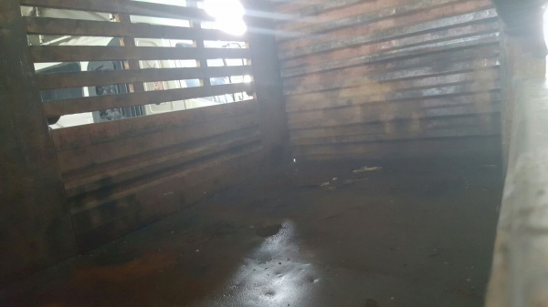 รถอีซูซุ 10 ล้อ หลังถนน FVM 175 แรงม้า.  ปี 38.    สนใจติดต่อ  081 - 6079515