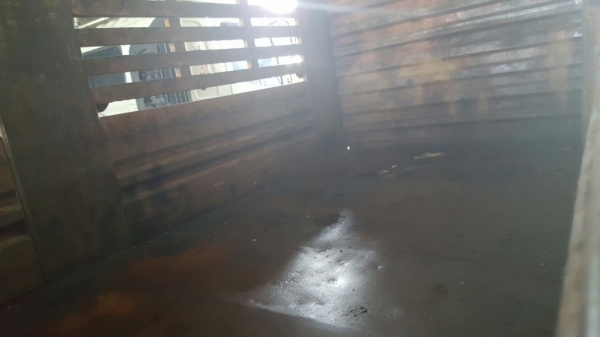 รถอีซูซุ 10 ล้อ หลังถนน FVM 175 แรงม้า.  ปี 38.    สนใจติดต่อ  081 - 6079515