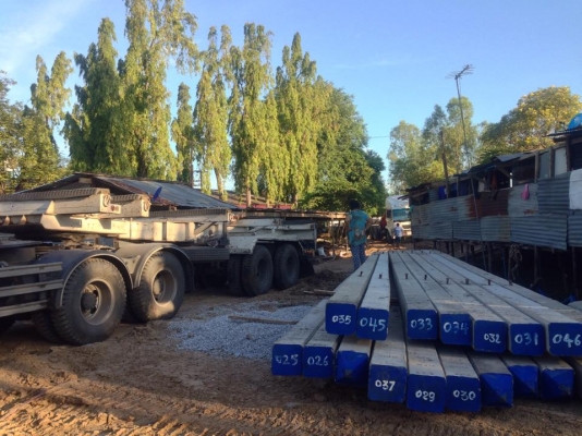 ปั้นจั่น รับตอกเสาเข็ม