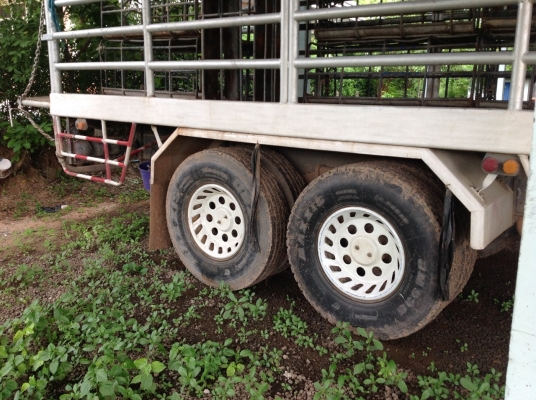 ขายด่วนรถสิบล้อDAGAเครือง200แรงปี46รถบรรทุกหมูยาว7.20เมตร