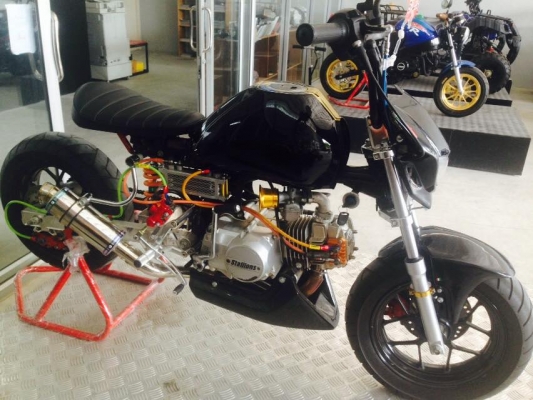 โปรโมชั่น ลดราคามังกี้ กอลิล่า มีให้เลือกหลากหลายแบบ ไม่ซ้ำ ขับสนุก ขับมัน ทนทาน  เริ่มต้น2XXXX