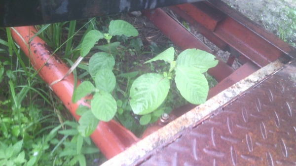 หางบรรทุก สนใจติดต่อ 0835601591 หรือ 0903494058