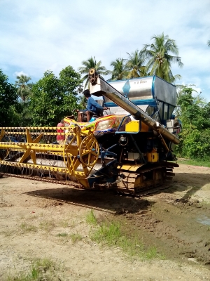 ขายรถเกี่ยวข้าวพร้อมเกี่ยว เกษตรพัฒนา จ้าวช้าง