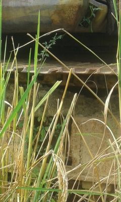 PC120-3...ขายตามสภาพ  เครื่องเสีย...รถสภาพใช้ได้ ราคาขาย250000.