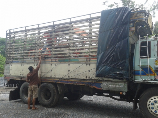 (29 ตค 59 วันดีขอบคุณเสี่ย อ. ดอนสัก จ. สุราฎธานี พงศกรจัดส่งรถไถ่ให้จาก จ. พัทลุง ไปให้ถึงบ้าน )รถไถ่คูโบต้า   รุ่น  M  5000  ยอดนิยม  พร้อมใช้งาน   เล่มพร้อม..ขายถูกๆ นาทีทอง