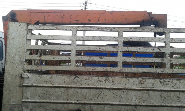 ขาย สิบล้อ มิซูซุ ไอ้หลง โบว์ 6D22 - 225 สโลส 2เพา เครน3.5ตัน ช่วงยาว 7.50ม สภาพพร้อมใช้ ทะเบียนพร้อมโอน ขาย สิบล้อ มิซูซุ ไอ้หลง โบว์ 6D22 - 225 สโลส 2เพา เครน3.5ตัน ช่วงยาว 7.50ม สภาพพร้อมใช้ ทะเบียนพร้อมโอน