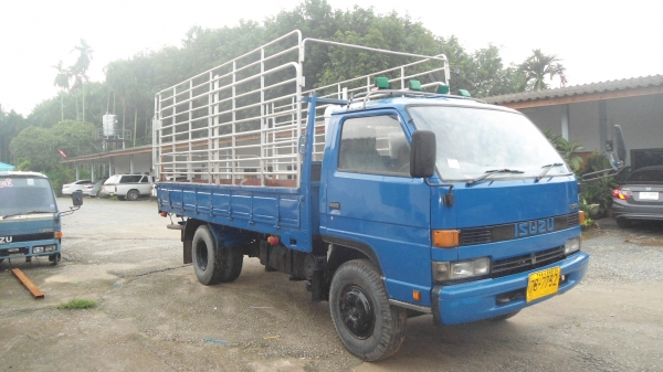 ขายอีซูซุ  115 แรง เครื่องดี  ครับ 4BD1  คัขซีสวย ยางล้อ 80 เปอร์เซ็นต์เอกสารทะเบียนพร้อมโอน ภาษีปี59