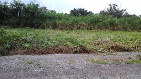 ขายที่ดินเหมาะสำหรับปลูกบ้าน  อ.ปราณบุรี  150 ต.ร.ว.  650.000 บาท