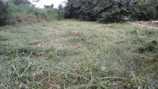 ขายที่ดินเหมาะสำหรับปลูกบ้าน  อ.ปราณบุรี  150 ต.ร.ว.  650.000 บาท