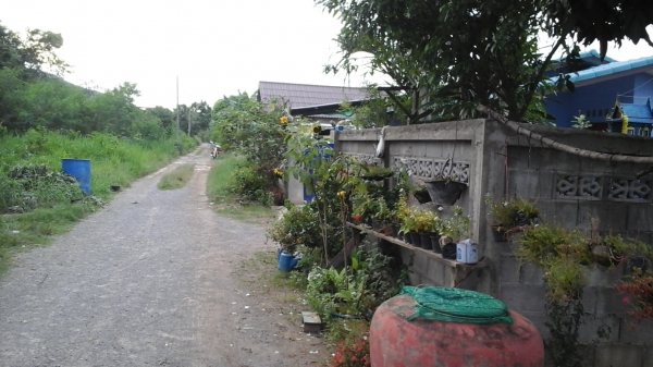 ขายที่ดินเหมาะสำหรับปลูกบ้าน  อ.ปราณบุรี  150 ต.ร.ว.  650.000 บาท