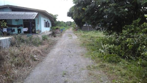 ขายที่ดินเหมาะสำหรับปลูกบ้าน  อ.ปราณบุรี  150 ต.ร.ว.  650.000 บาท