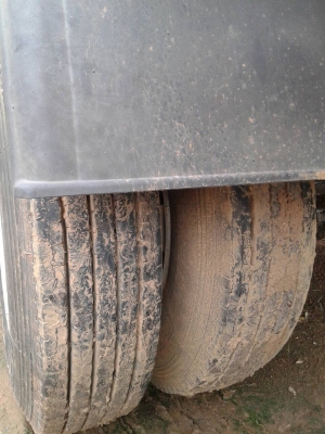 ขายหางพื่นเรียบ