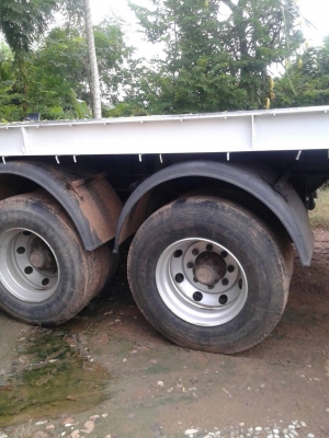 ขายหางพื่นเรียบ