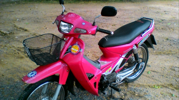 ขาย คาวาซากิ เชียร