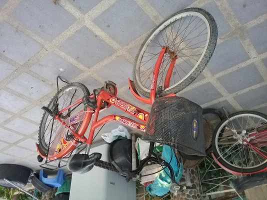 จักรยาน Turbo เบอร์ 24