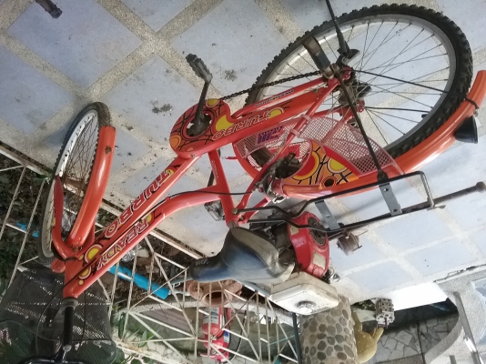 จักรยาน Turbo เบอร์ 24 จักรยาน Turbo เบอร์ 24