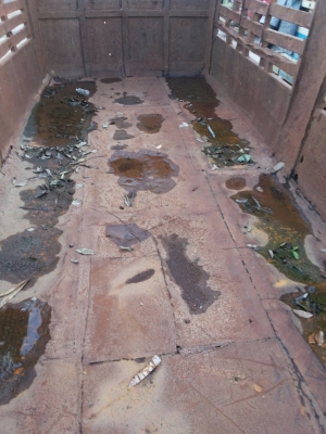 ขายลูกพ่วง RCK ขายลูกพ่วง RCK