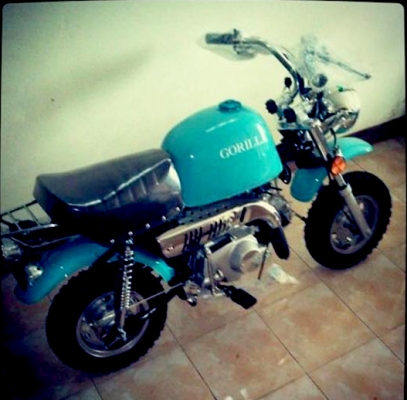 มังกี้ กอลิล่า เดิม ราคาสุดๆ เริ่มต้นเพียง 2XXXX  แต่งๆๆ ลดราคาทุกรุ่นและมีของแถมอีกมากมาย  ด่วนๆๆ ลดๆๆ   เริ่มต้นราคา ที 22999