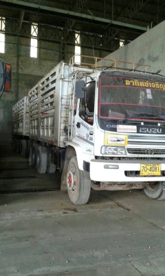 ขายอีซุสุ320แมกซ์โหลด ขายอีซุสุ320แมกซ์โหลด