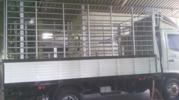 รถฮีโน่ 6 ล้อ รั้ว FC4J  170 แรงม้า. ปี 49    สนใจติดต่อ  081 - 6079515