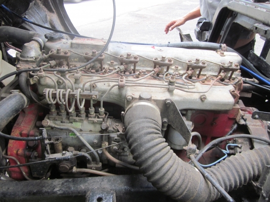 ขาย ฮีโน่ดั๊มดิน