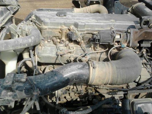 รถอีซูซุ 6 ล้อดั้ม NQR 175 แรงม้า. ปี 50   สนใจติดต่อ  081 - 6079515