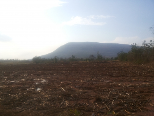 ขายด่วนที่ดินโฉนด 6 ไร่ 3 งาน 55 ตารางวา ยกแปลง 900,000 บาท (อ.ภูเขียว จ.ชัยภูมิ)